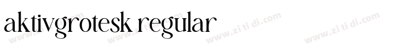aktivgrotesk regular字体转换